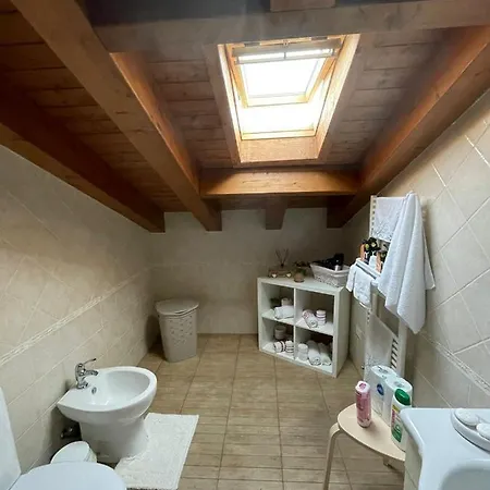 Sofia's House